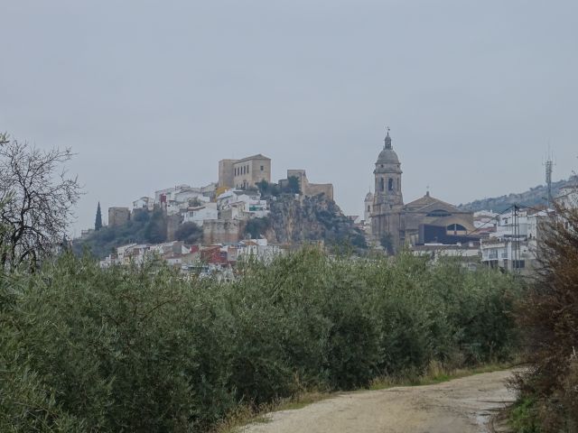 Loja